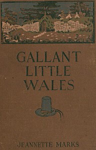 Cover of Gallant Little Wales: Sketches of its people, places and customs