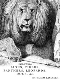 Cover of Engravings of Lions, Tigers, Panthers, Leopards, Dogs, &c.