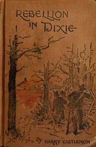 Cover of A Rebellion in Dixie