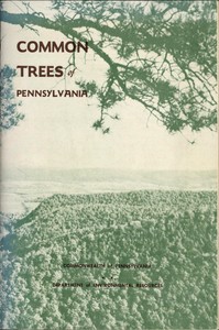 Cover of Common trees of Pennsylvania