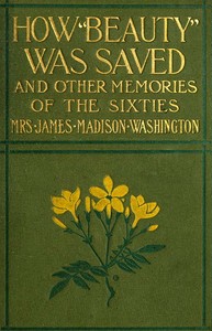 Cover of How Beauty Was Saved, and Other Memories of the Sixties