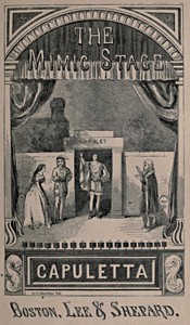 Cover of The Mimic Stage