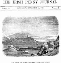 Cover of The Irish Penny Journal, Vol. 1 No. 21, November 21, 1840