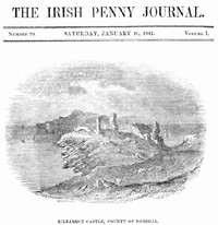 Cover of The Irish Penny Journal, Vol. 1 No. 29, January 16, 1841