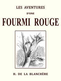Cover of Les aventures d'une fourmi rouge et les mémoires d'un pierrot