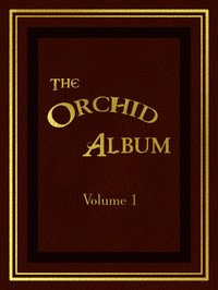 Cover of The Orchid Album, Volume 1