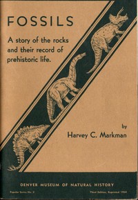 Cover of Fossils: A Story of the Rocks and Their Record of Prehistoric Life