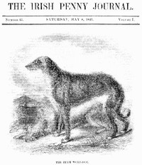 Cover of The Irish Penny Journal, Vol. 1 No. 45, May 8, 1841