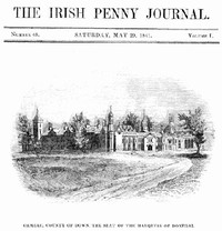 Cover of The Irish Penny Journal, Vol. 1 No. 48, May 29, 1841
