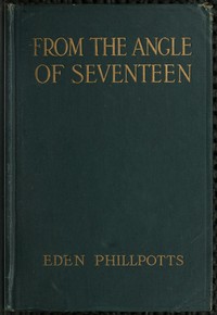 Cover of From the Angle of Seventeen