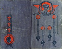 Cover of A Hardy Norseman