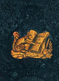 Cover of The Travels and Extraordinary Adventures of Bob the Squirrel