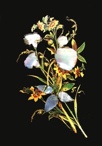 Cover of The Iris: An Illuminated Souvenir for MDCCCLII