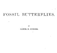 Cover of Fossil Butterflies