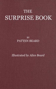 The Surprise Book