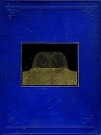 Cover of The Moon: considered as a planet, a world, and a satellite.