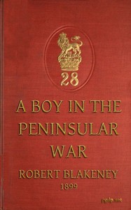 Cover of A boy in the Peninsular War