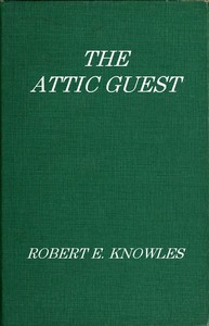The Attic Guest: A Novel cover