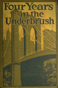 Cover of Four Years in the Underbrush: Adventures as a Working Woman in New York
