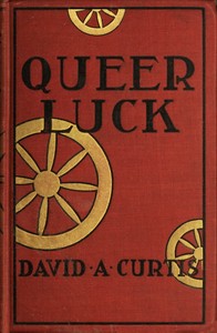 Cover of Queer Luck: Poker Stories from the New York Sun