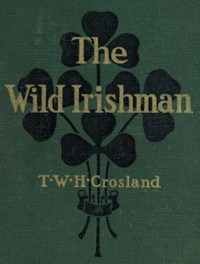 The Wild Irishman