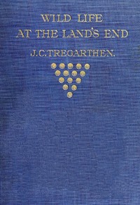 Cover of Wild Life at the Land's End