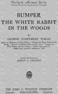 Cover of Bumper the White Rabbit in the Woods