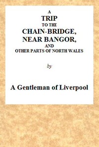 Cover of A Trip to the Chain-Bridge, Near Bangor, and Other Parts of North Wales