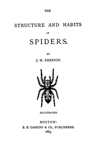 Cover of The Structure and Habits of Spiders