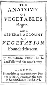 Cover of The Anatomy of Vegetables Begun