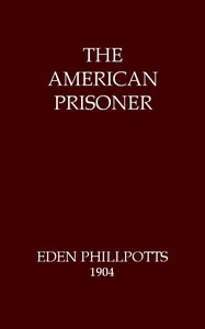 Cover of The American Prisoner