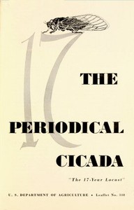 Cover of The Periodical Cicada, "the 17-year Locust"