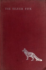 Cover of The Silver Fox