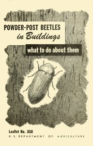 Cover of Powder-Post Beetles in Buildings: What to Do About Them