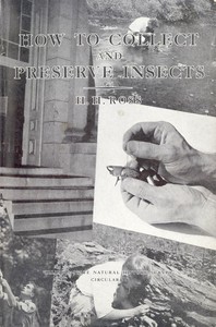 Cover of How to Collect and Preserve Insects