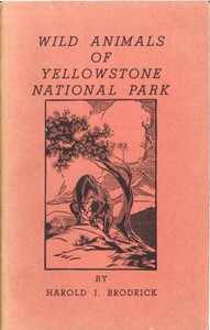 Cover of Wild Animals of Yellowstone National Park