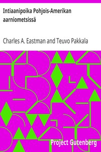 Cover of Intiaanipoika Pohjois-Amerikan aarniometsissä