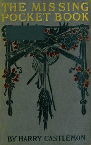 The Missing Pocket-Book; Or, Tom Mason's Luck