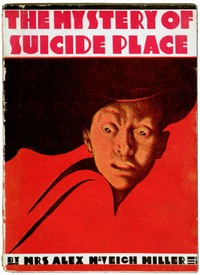 Cover of The Mystery of Suicide Place