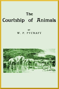 Cover of The Courtship of Animals