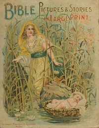 Cover of Bible pictures and stories in large print