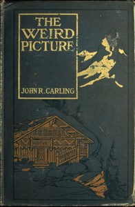 Cover of The Weird Picture