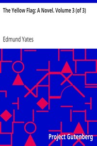 Cover of The Yellow Flag: A Novel. Volume 3 (of 3)