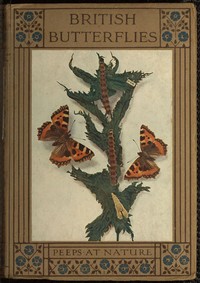 Cover of British Butterflies