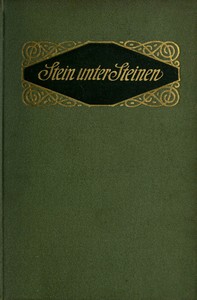 Cover of Stein unter Steinen: Schauspiel in vier Akten