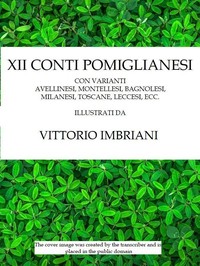 Cover of XII conti pomiglianesi
