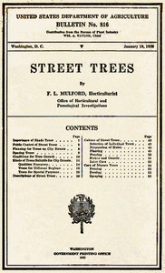 Cover of Street Trees