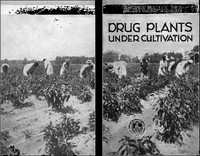 Cover of Drug Plants Under Cultivation