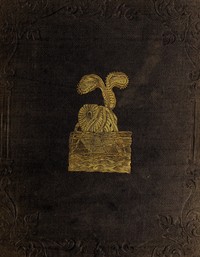 Cover of Peter Parley's Wonders of the Earth, Sea, and Sky