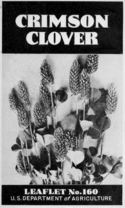 Cover of Crimson Clover [1938]